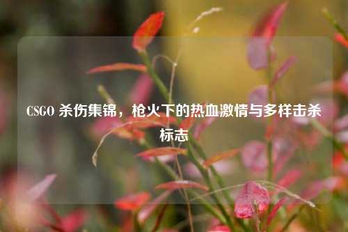 CSGO 杀伤集锦,枪火下的热血激情与多样击杀标志