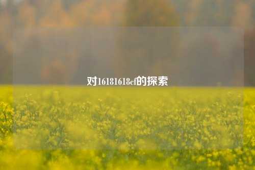 对16181618cf的探索