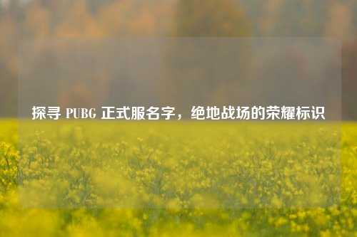 探寻 PUBG 正式服名字，绝地战场的荣耀标识