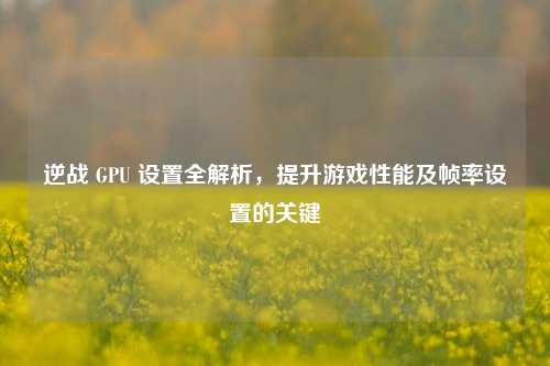 逆战 GPU 设置全解析,提升游戏性能及帧率设置的关键
