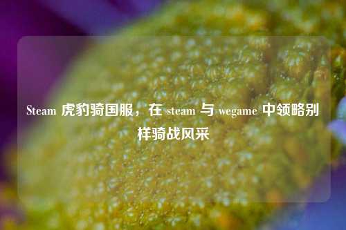 Steam 虎豹骑国服,在 steam 与 wegame 中领略别样骑战风采