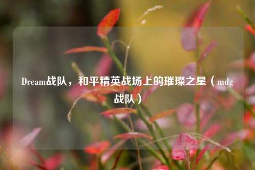 Dream战队，和平精英战场上的璀璨之星（mdg战队）