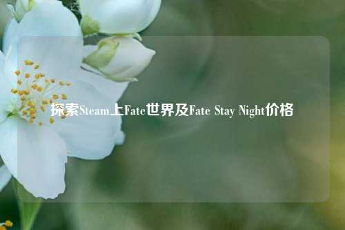 探索Steam上Fate世界及Fate Stay Night价格