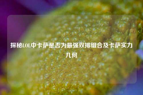 探秘LOL中卡萨是否为最强双排组合及卡萨实力几何