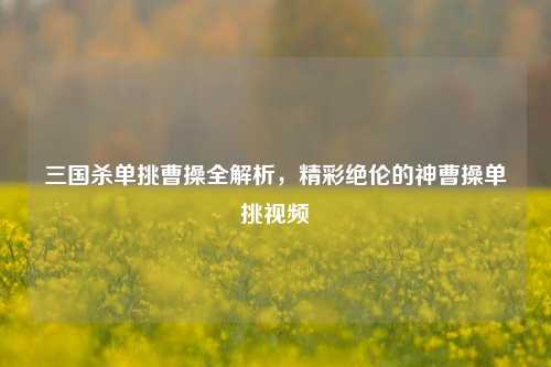 三国杀单挑曹操全解析,精彩绝伦的神曹操单挑视频