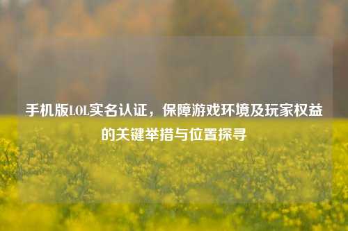 手机版LOL实名认证，保障游戏环境及玩家权益的关键举措与位置探寻