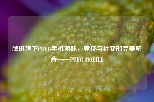 腾讯旗下PUBG手机游戏,竞技与社交的完美融合——PUBG MOBILE