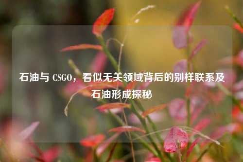 石油与 CSGO，看似无关领域背后的别样联系及石油形成探秘