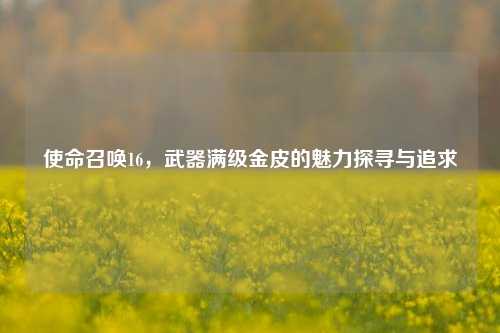 使命召唤16,武器满级金皮的魅力探寻与追求