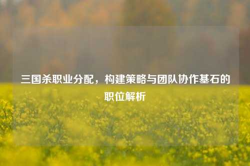 三国杀职业分配，构建策略与团队协作基石的职位解析