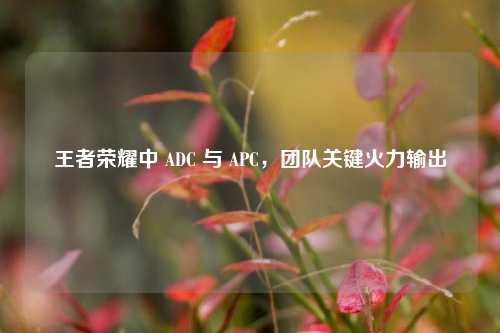 王者荣耀中 ADC 与 APC，团队关键火力输出