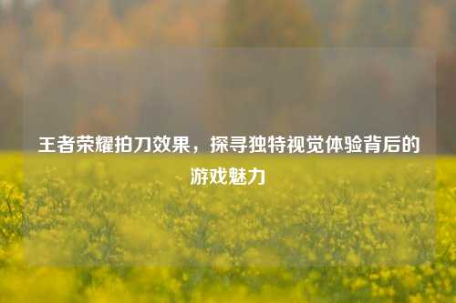 王者荣耀拍刀效果,探寻独特视觉体验背后的游戏魅力