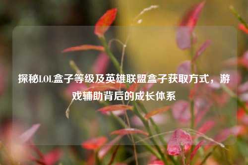 探秘LOL盒子等级及英雄联盟盒子获取方式,游戏辅助背后的成长体系