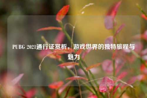 PUBG 2021通行证赏析，游戏世界的独特旅程与魅力