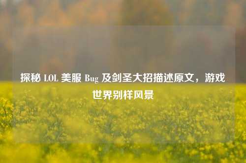 探秘 LOL 美服 Bug 及剑圣大招描述原文,游戏世界别样风景