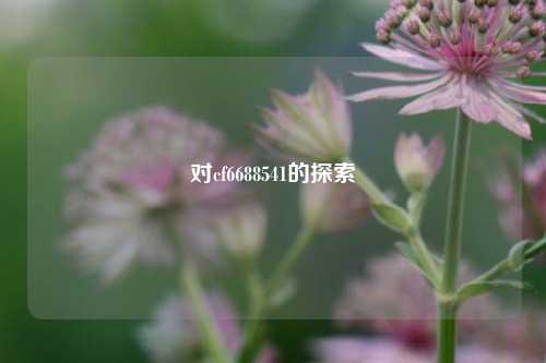 对cf6688541的探索