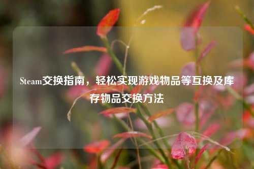 Steam交换指南,轻松实现游戏物品等互换及库存物品交换方法