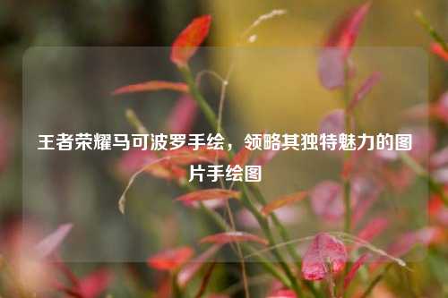 王者荣耀马可波罗手绘，领略其独特魅力的图片手绘图