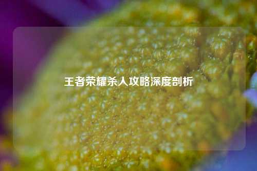 王者荣耀杀人攻略深度剖析