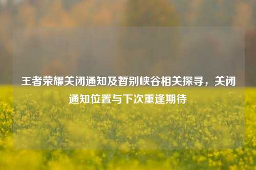 王者荣耀关闭通知及暂别峡谷相关探寻,关闭通知位置与下次重逢期待