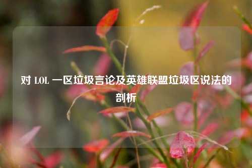 对 LOL 一区垃圾言论及英雄联盟垃圾区说法的剖析