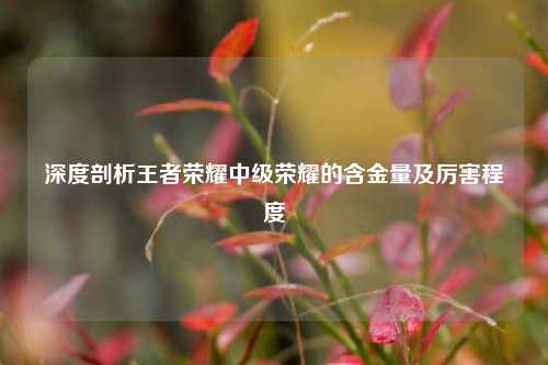 深度剖析王者荣耀中级荣耀的含金量及厉害程度