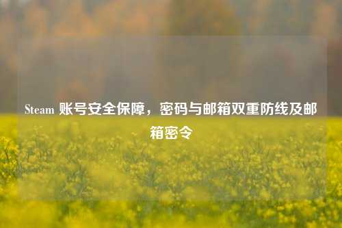 Steam 账号安全保障，密码与邮箱双重防线及邮箱密令
