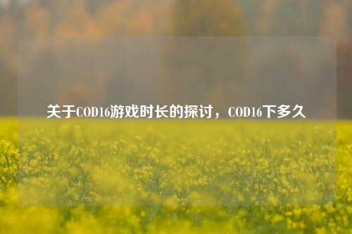 关于COD16游戏时长的探讨，COD16下多久