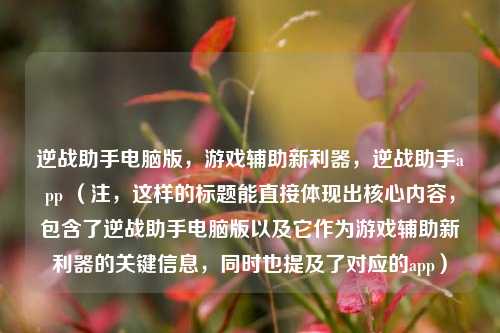 逆战助手电脑版，游戏辅助新利器，逆战助手app （注，这样的标题能直接体现出核心内容，包含了逆战助手电脑版以及它作为游戏辅助新利器的关键信息，同时也提及了对应的app）