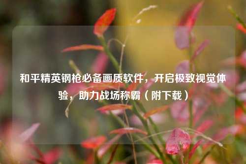 和平精英钢枪必备画质软件,开启极致视觉体验,助力战场称霸(附下载)