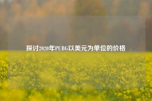 探讨2020年PUBG以美元为单位的价格