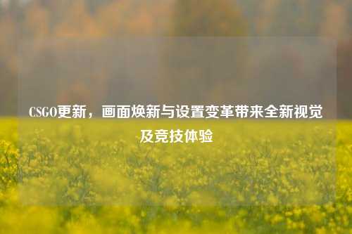 CSGO更新，画面焕新与设置变革带来全新视觉及竞技体验