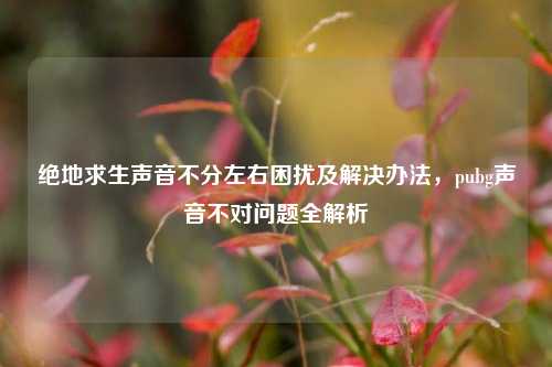 绝地求生声音不分左右困扰及解决办法,pubg声音不对问题全解析