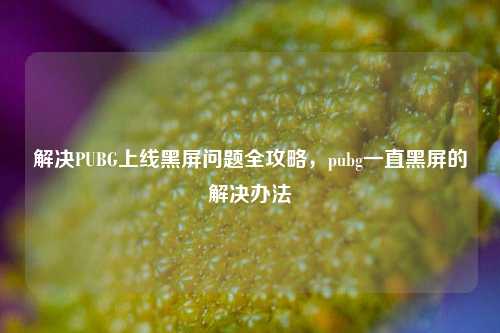 解决PUBG上线黑屏问题全攻略，pubg一直黑屏的解决办法