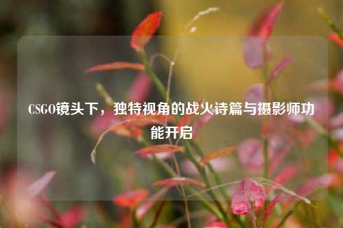CSGO镜头下，独特视角的战火诗篇与摄影师功能开启