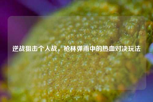 逆战狙击个人战，枪林弹雨中的热血对决玩法