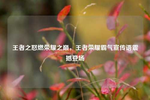 王者之怒燃荣耀之巅，王者荣耀霸气宣传语震撼登场