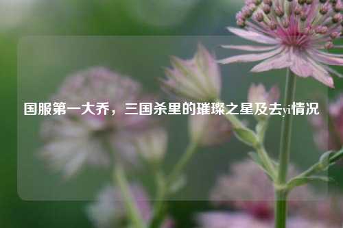 国服第一大乔,三国杀里的璀璨之星及去yi情况