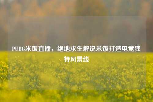 PUBG米饭直播,绝地求生解说米饭打造电竞独特风景线