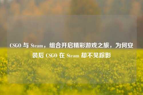 CSGO 与 Steam,组合开启精彩游戏之旅,为何安装后 CSGO 在 Steam 却不见踪影