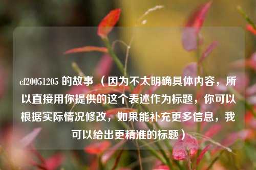 cf20051205 的故事 （因为不太明确具体内容，所以直接用你提供的这个表述作为标题，你可以根据实际情况修改，如果能补充更多信息，我可以给出更精准的标题）
