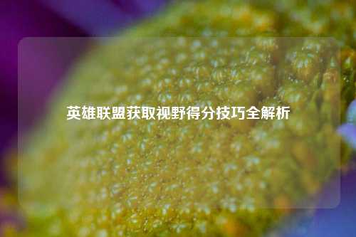 英雄联盟获取视野得分技巧全解析