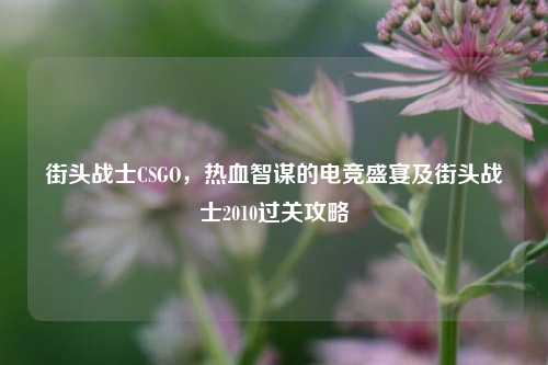 街头战士CSGO,热血智谋的电竞盛宴及街头战士2010过关攻略