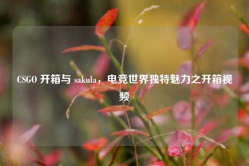 CSGO 开箱与 sakula，电竞世界独特魅力之开箱视频