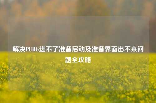 解决PUBG进不了准备启动及准备界面出不来问题全攻略