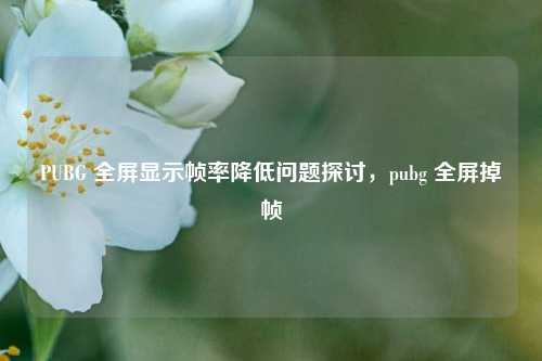 PUBG 全屏显示帧率降低问题探讨,pubg 全屏掉帧