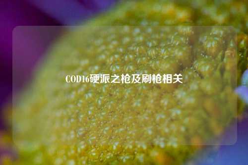 COD16硬派之枪及刷枪相关