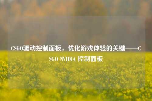 CSGO驱动控制面板,优化游戏体验的关键——CSGO NVIDIA 控制面板