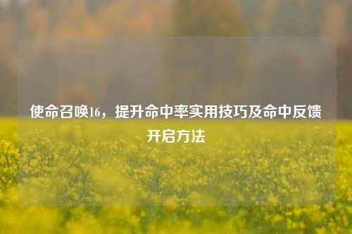 使命召唤16,提升命中率实用技巧及命中反馈开启方法