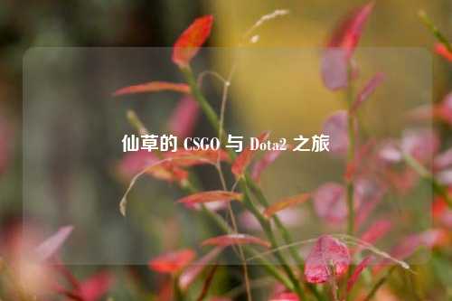 仙草的 CSGO 与 Dota2 之旅
